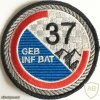Swiss Mountain Infantry Battalion 37 img6423