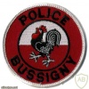 Bussigny municipal police patch