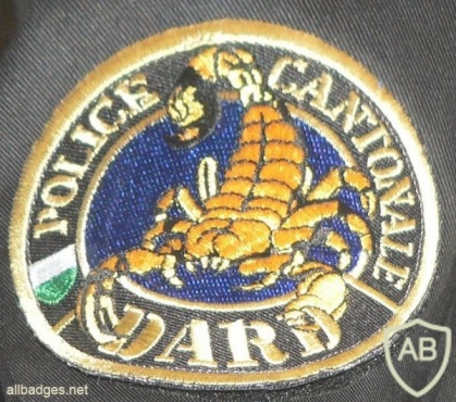 Vaud Cantonal Police, DARD unit shoulder patch img6478