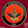 מדלית הוקרה מפקדת הכוחות המיוחדים של חיל האויר