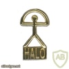 HALO badge img6881