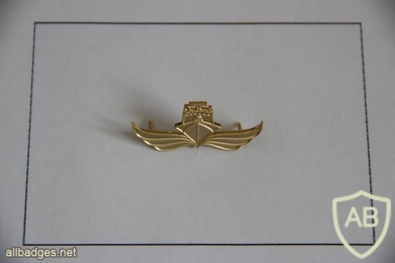 unknown navy badge    img6950