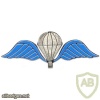 Parachutist wing