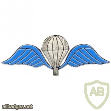 Belgium Parachutist wings 1 img6944