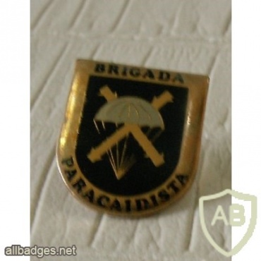 paratrooper badge img6921