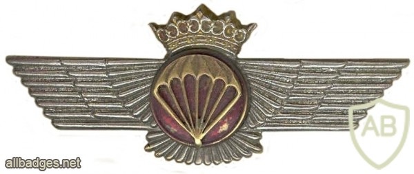 Parachutist wing, pre 1977 img6886