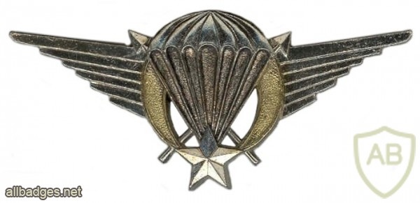 Burkina Faso Parachutist wing  img6972