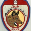 Algeria police patch 04