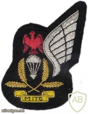 Parachutist Instructor, Air Force, Nigeria img7022