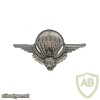 Zaire Parachutist wing, enlisted