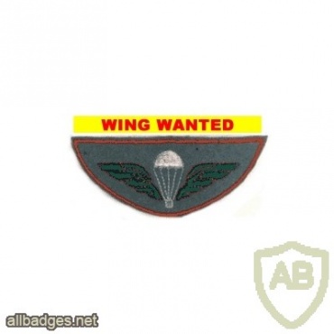 Parachutist wing  img7018