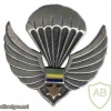 Gabon Parachutist wing 