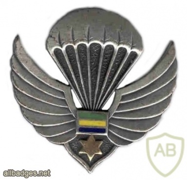 Gabon Parachutist wing  img6977