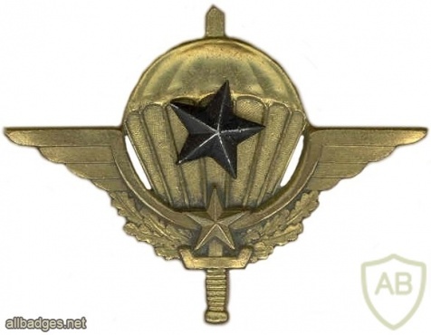 Cameroon Parachutist wing, advanced img6973