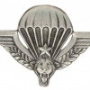 Zaire Parachutist wing, enlisted