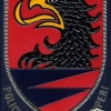 Albania - National Police patch