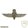 Parachutist wing, advanced img6962