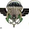Niger Parachutist wings