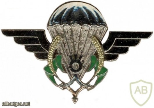 Niger Parachutist wings img6965