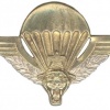 Parachutist wing, officer img6983