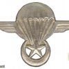 Mauritania Parachutist wing 