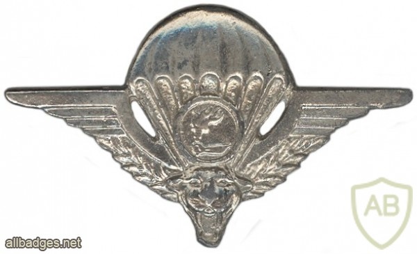 Zaire Parachutist wing, enlisted img6982