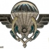 Niger Parachutist wing