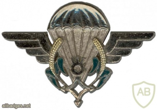 Niger Parachutist wing img6966