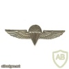 Parachutist wing  img6961