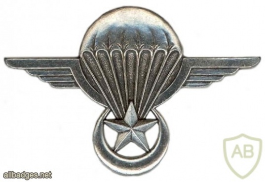 Mauritania Parachutist wing  img6969