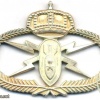 SAUDI ARABIA Explosive Ordnance Disposal EOD badge