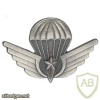 Tunisia Parachutist wing, advanced