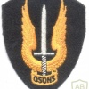 CANADA Army Special Service Force Brigade sleeve patch img7037