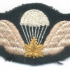 CANADA Army Parachute Jump wings, old, wool img7035
