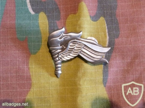 Belgium Army Pathfinder badge img7193