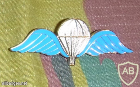 Belgium Parachutist wings 2 img7188