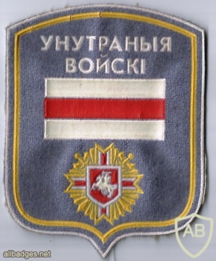 Internal troops patch img7076