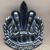 סמל כובע חיל האיסוף הקרבי - דגם 3 img7127