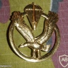 Belgium special forces cap badge img7227