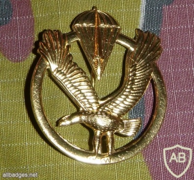 Belgium special forces cap badge img7227