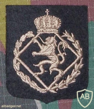 Belgium Royal Military school patch img7223