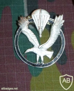 Belgium special forces ESR cap badge img7230