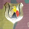 Belgium Climber Para Commando badge