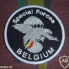 Belgium Special Forces blazer patch