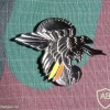 Belgium Special Forces chest badge, 2nd type img7229