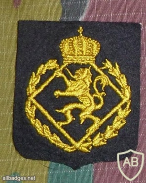 Belgium Royal Military school patch img7224