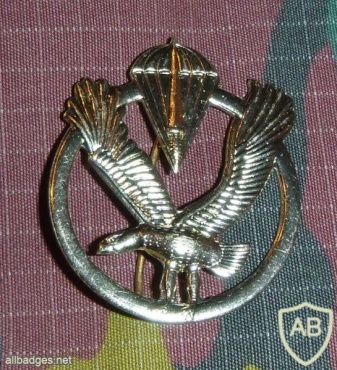 Belgium special forces cap badge img7226