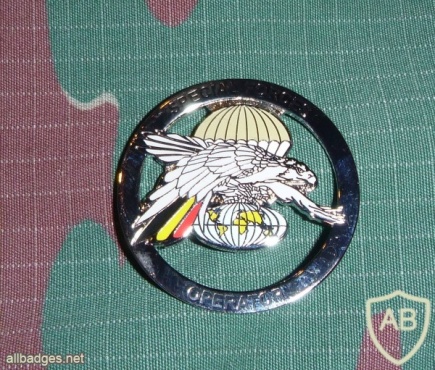 Belgium Special Forces chest badge, new img7228