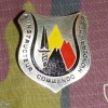 Belgium Assistant instructor Para Commando badge img7234