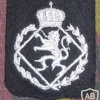 Belgium Royal Military school patch